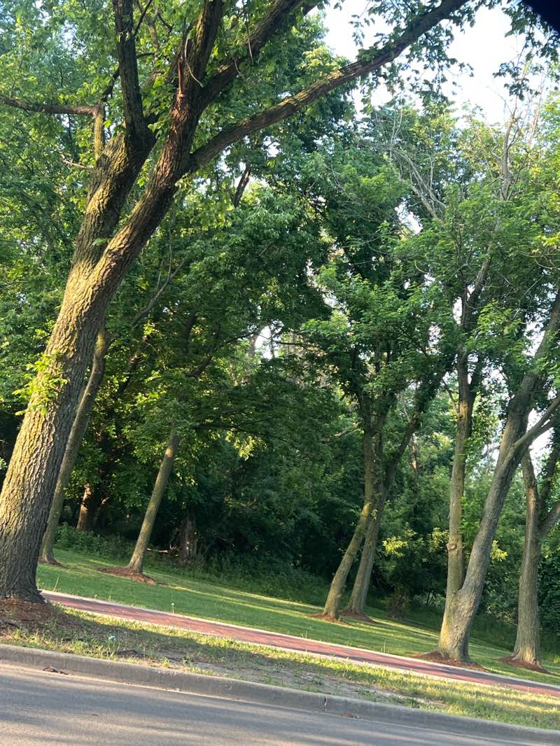 walking near me in River Front Park in summer