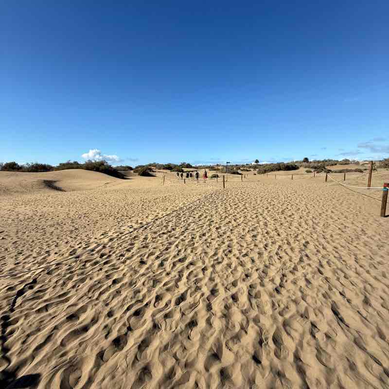 Roby di camelot 🏰 post 1