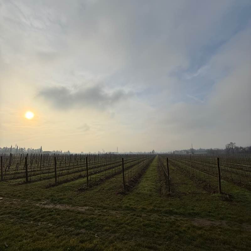 Roby di camelot 🏰 post 2