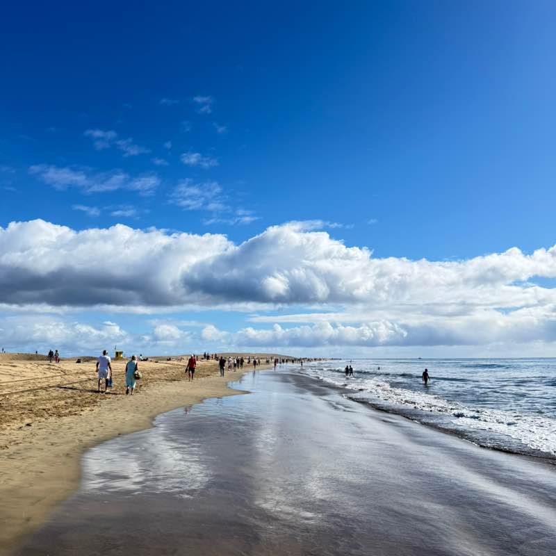 Roby di camelot 🏰 post 2