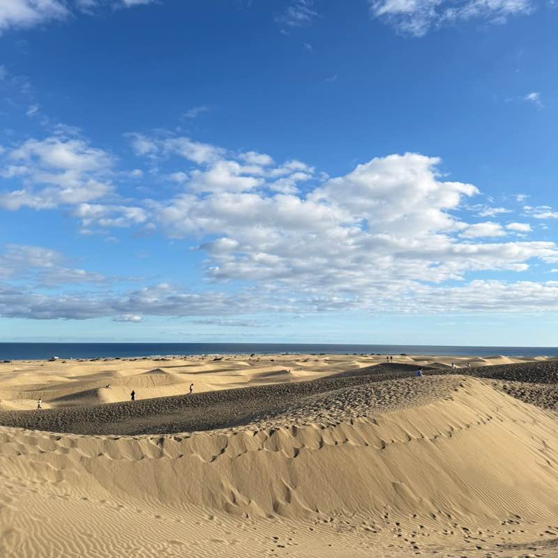 Roby di camelot 🏰 post 1