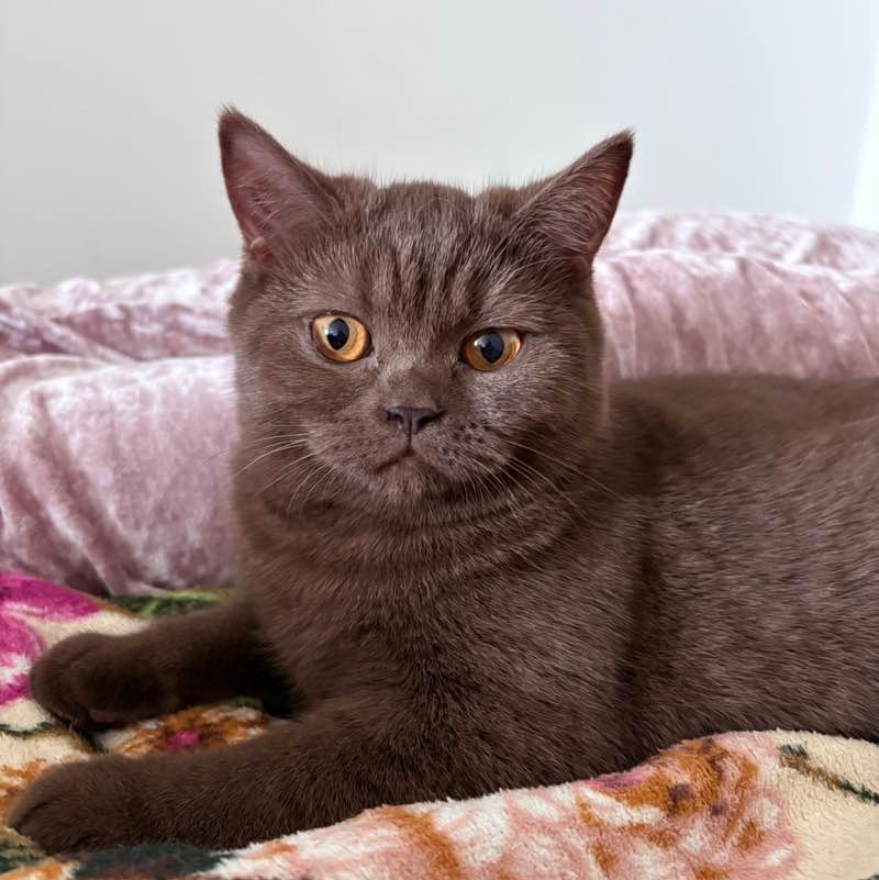 Бей беги Valera Iartsev post image