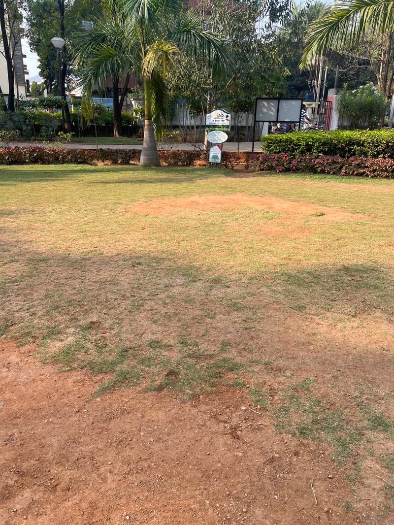 walking near me in Sainikpuri Park in winter