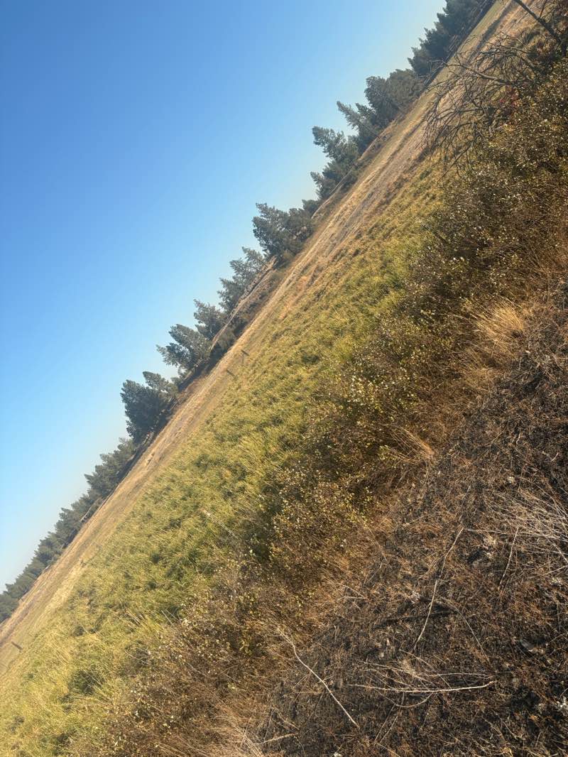 walking near me in Columbia Plateau Trail State Park in autumn