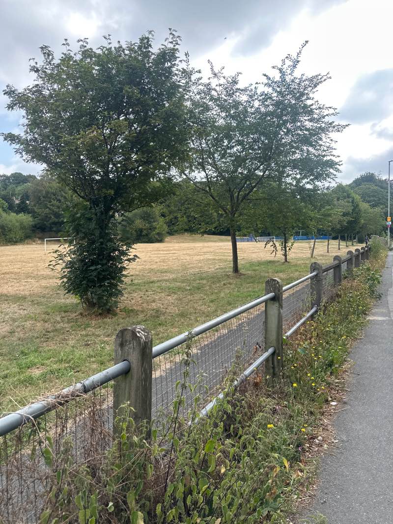 walking near me in Somerset Park in summer
