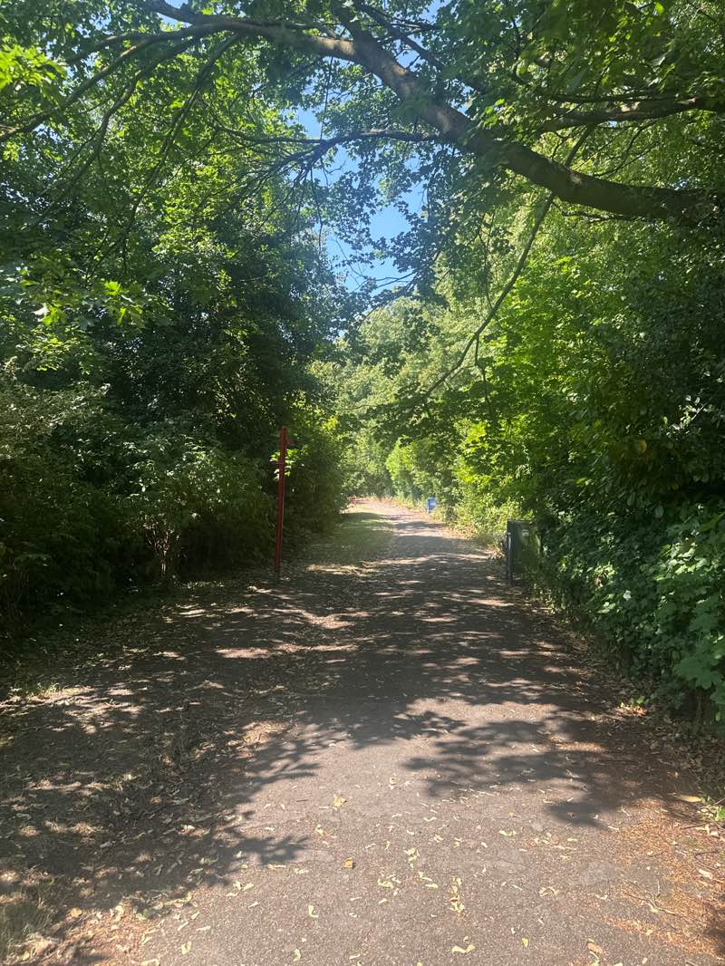 walking near me in Norman Park in summer