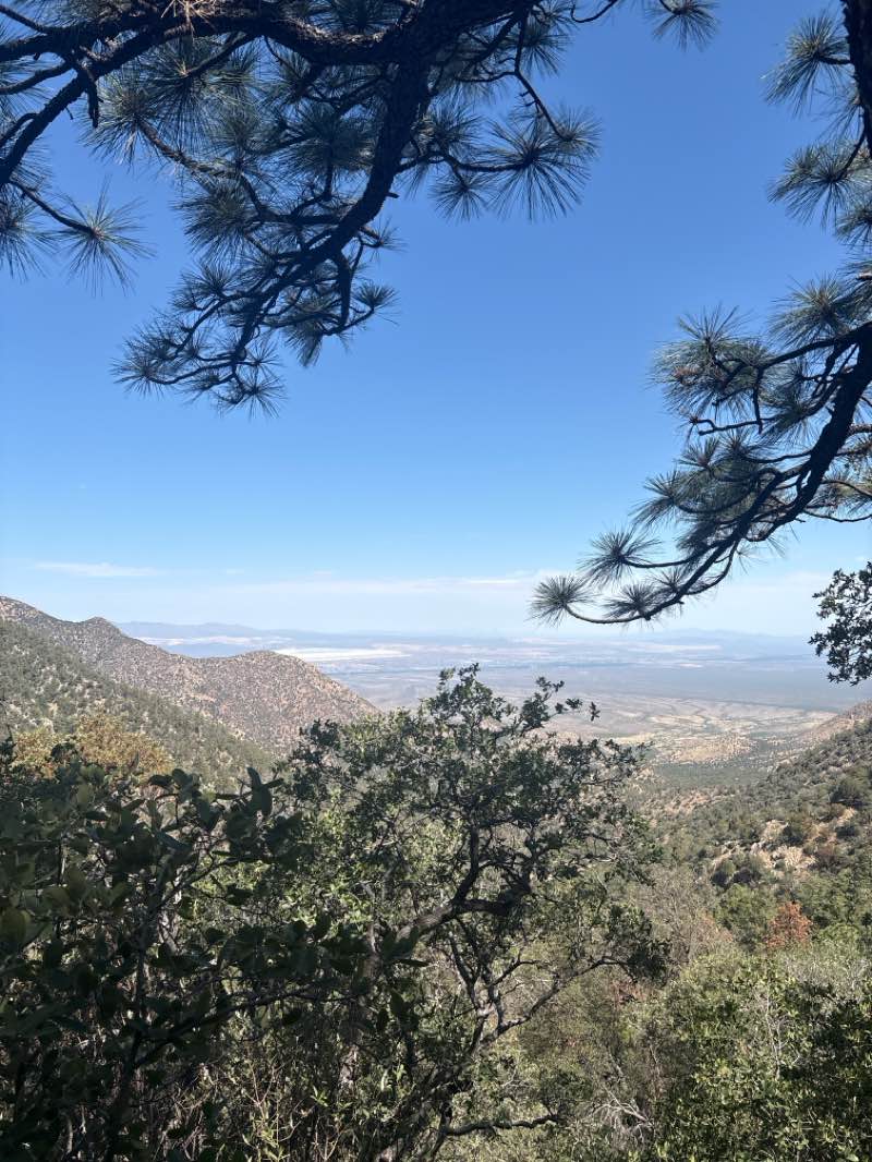 walking near me in Mount Wrightson Wilderness in summer