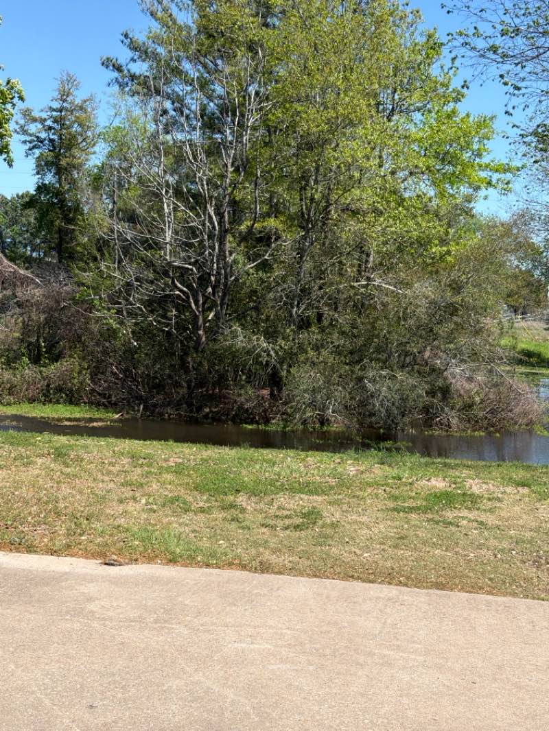 walking near me in Theis Attaway Nature Center in spring