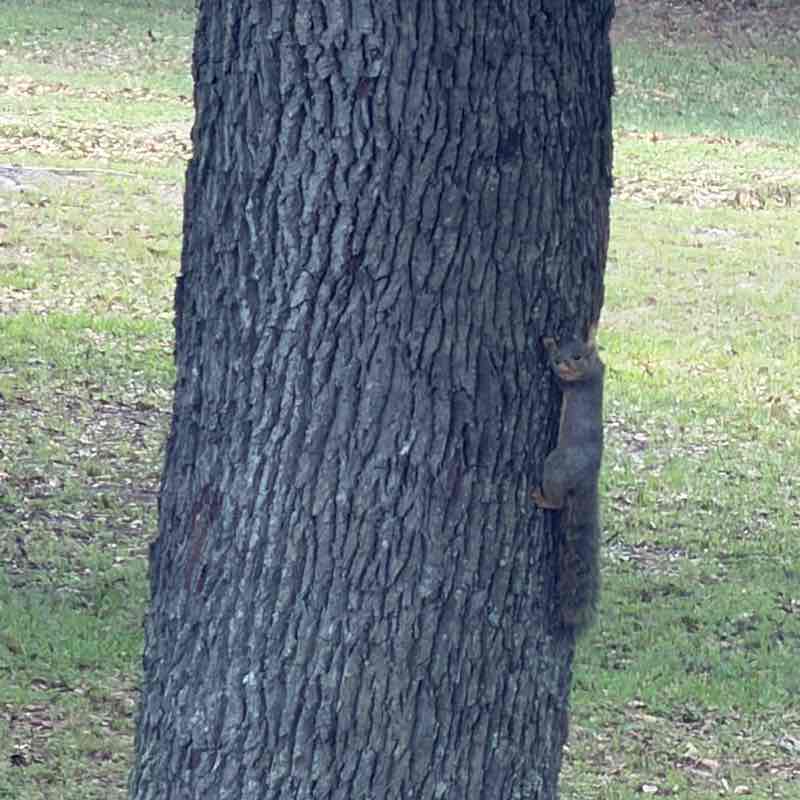 Monica Finol Valencia post 1