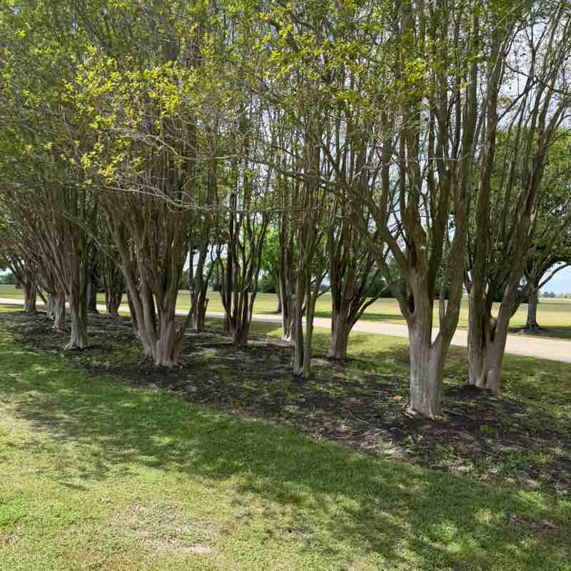 Monica Finol Valencia post 3