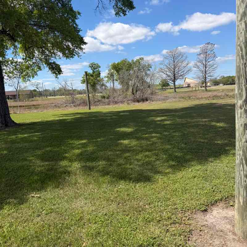 Monica Finol Valencia post 2