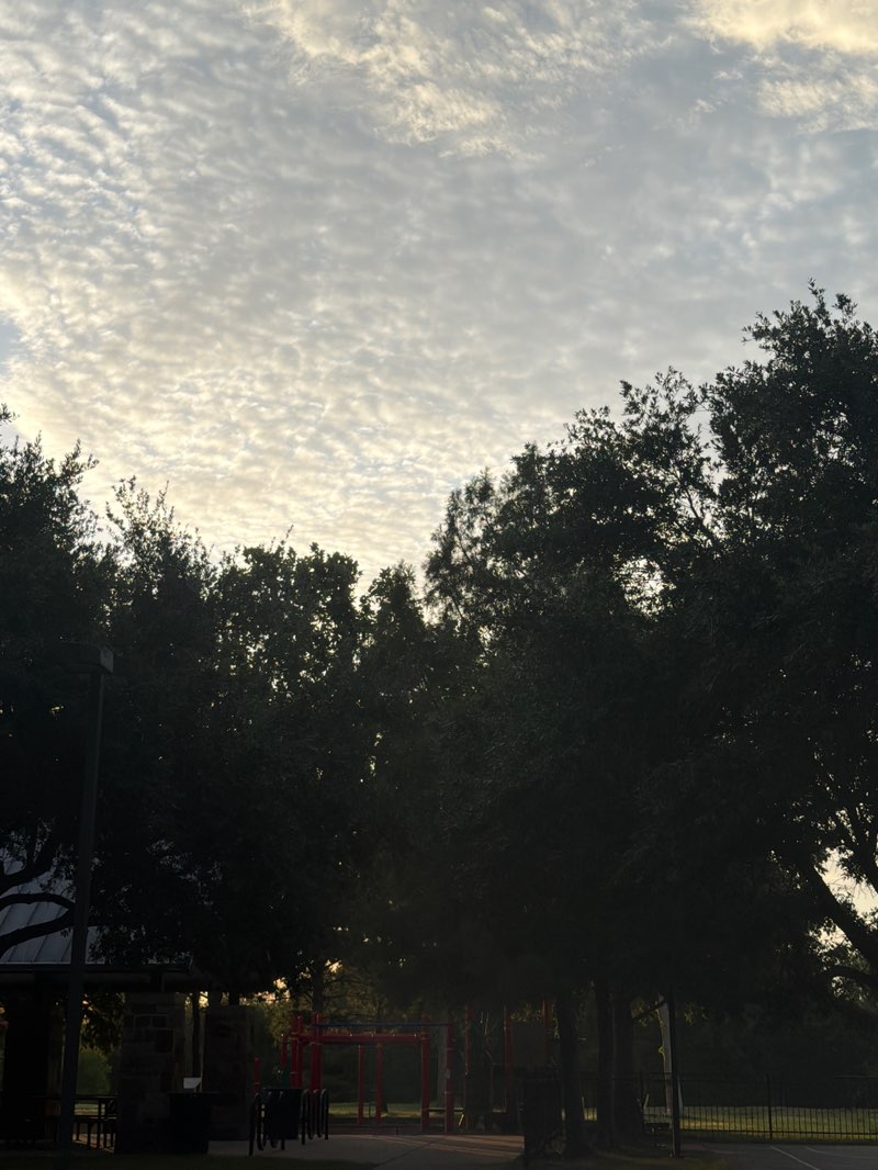 walking near me in Arbor Park in summer