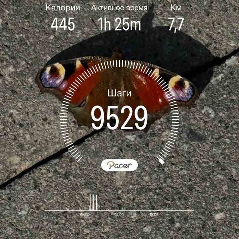 Ольга Ким 4/4 post 1
