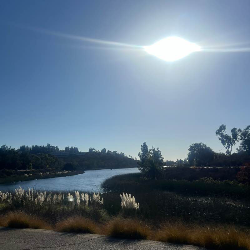 CARLSBAD WALK-A-FLOCKA-THON Noreen post image