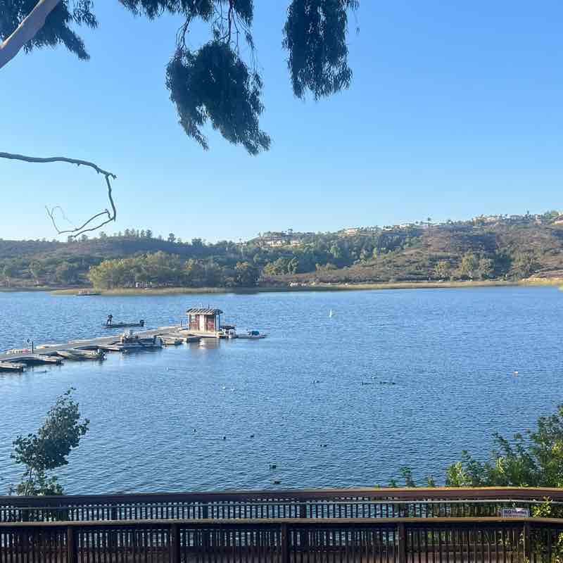 CARLSBAD WALK-A-FLOCKA-THON Noreen post image