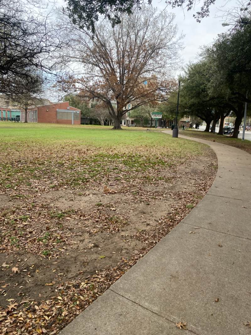 walking near me in Exall Park in spring