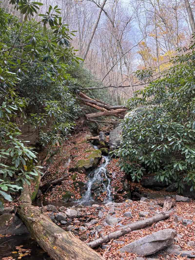 walking near me in State Game Lands Number 141 in autumn