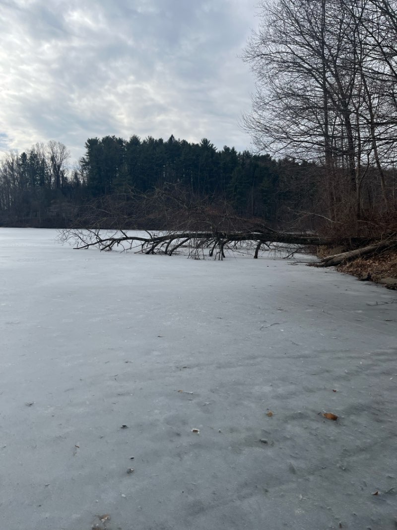 walking near me in Antietam Lake Park in winter