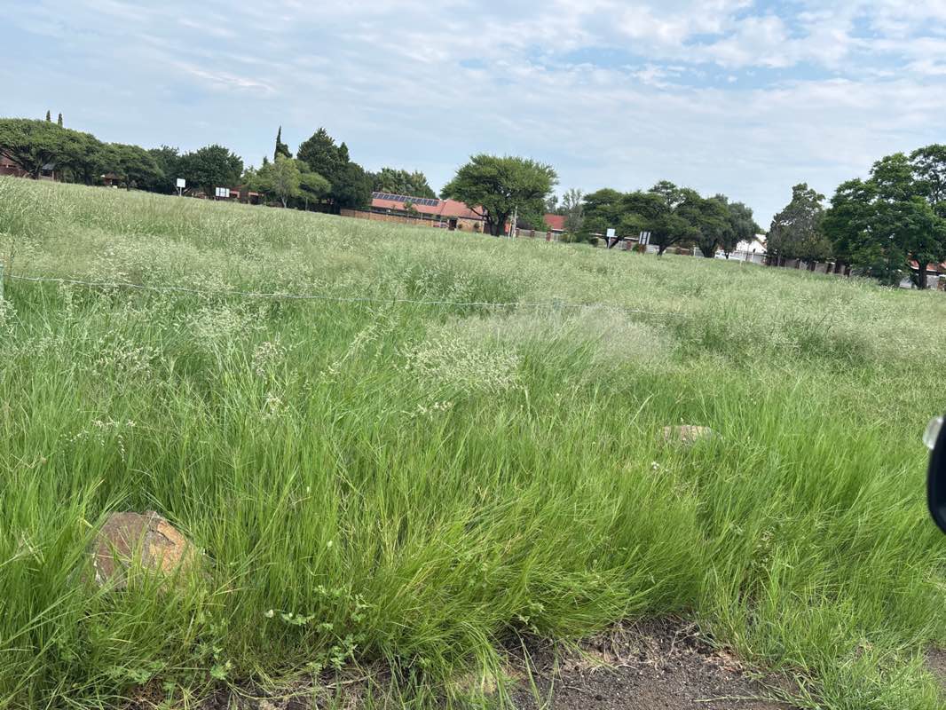 walking near me in Leeuwenhof Public Recreational Park in autumn