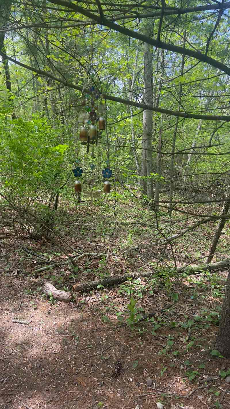 walking near me in Wilbraham Wildlife Area in spring