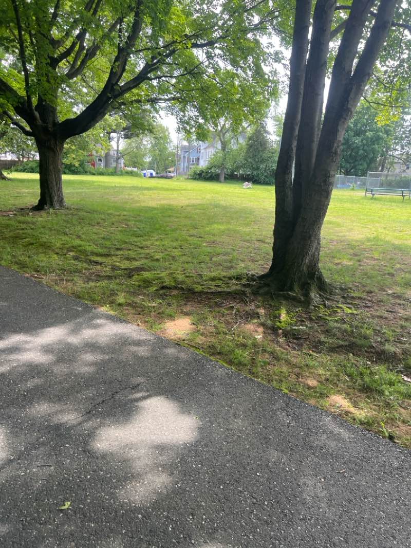 walking near me in Van Horn Park in summer