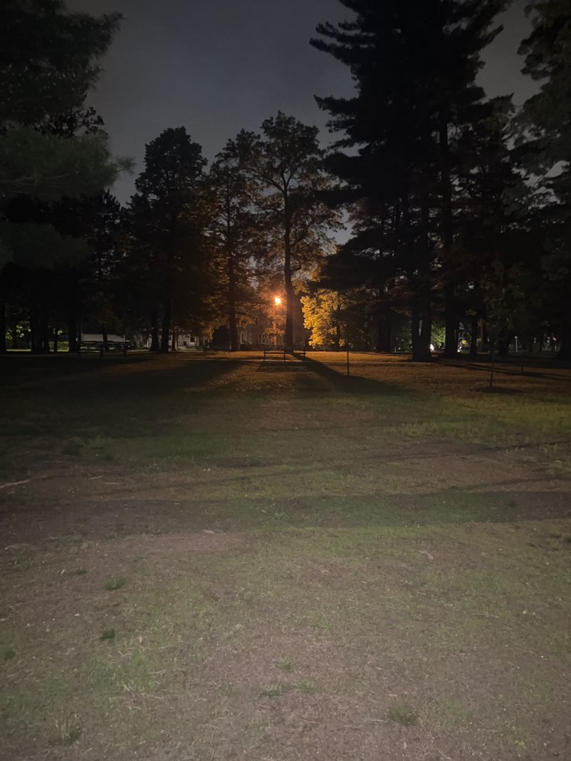 walking near me in Cottage Hill Park in spring