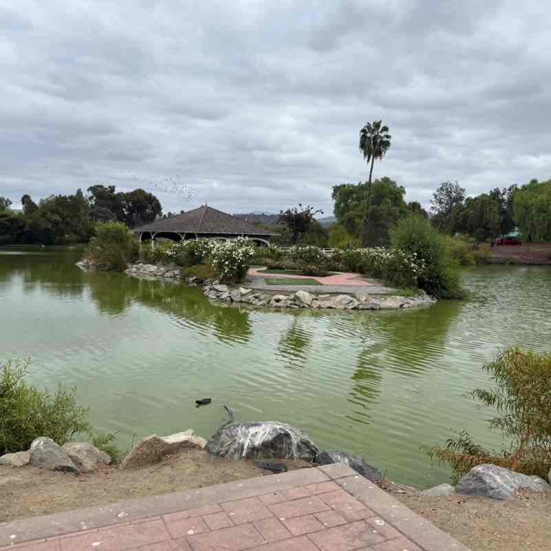 Folks & Kin tarah_elizabeth93 post image