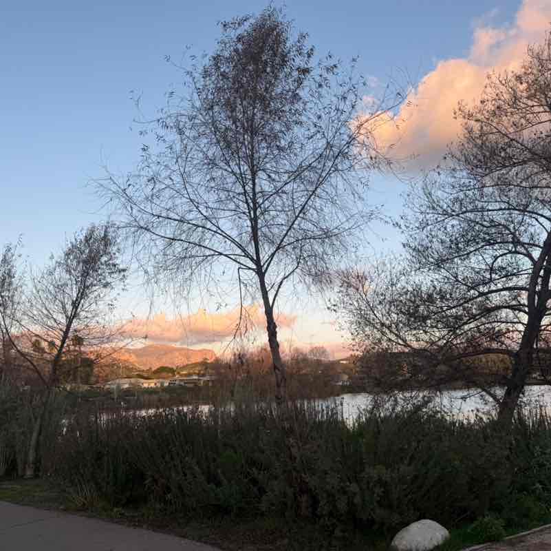 Folks & Kin cinnamon post image