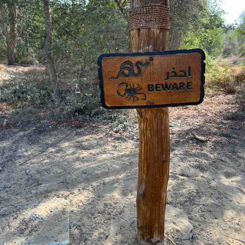 SAY Studio Dwight Plamenco post image