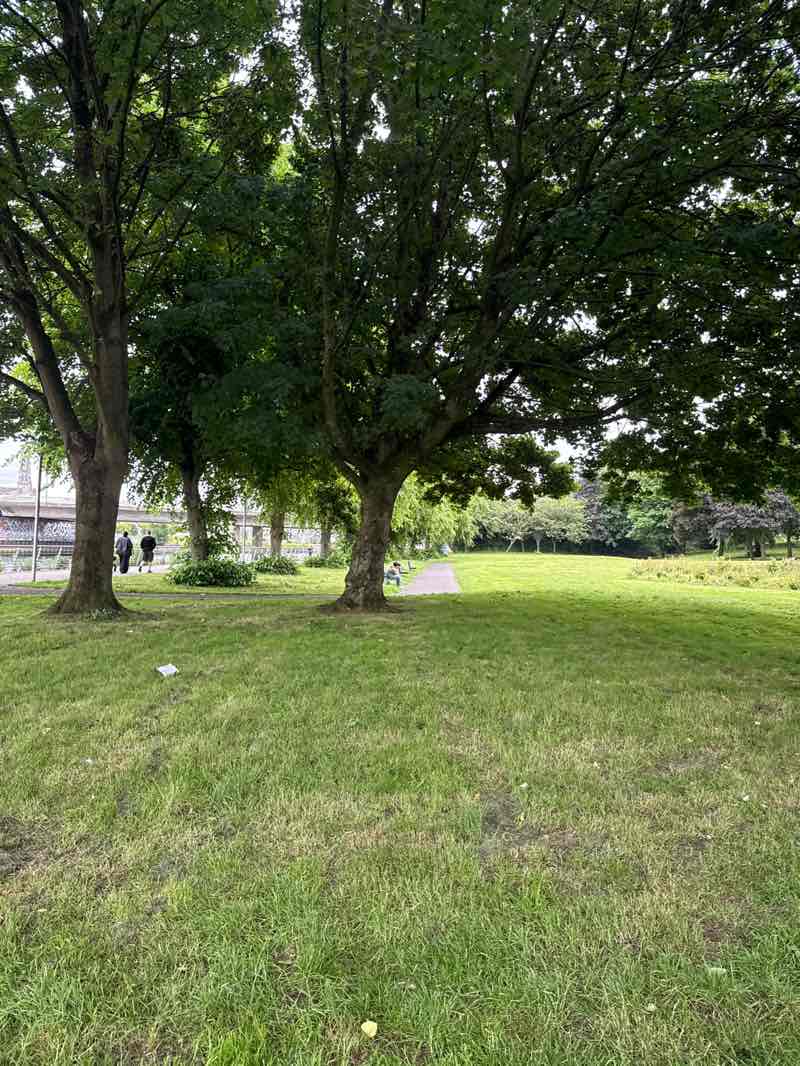 walking near me in Saint Dominicks Park in summer