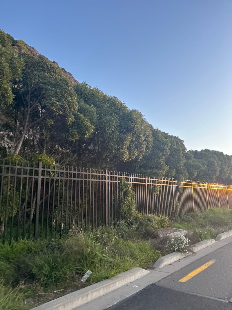 walking near me in Shag Rock Reserve in winter