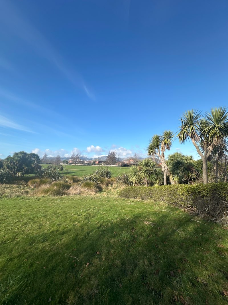 walking near me in Nash Reserve in spring