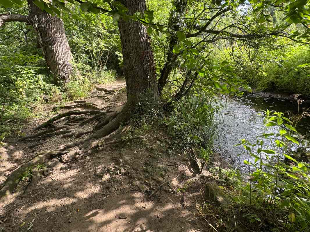 walking near me in Trittiford Park in summer