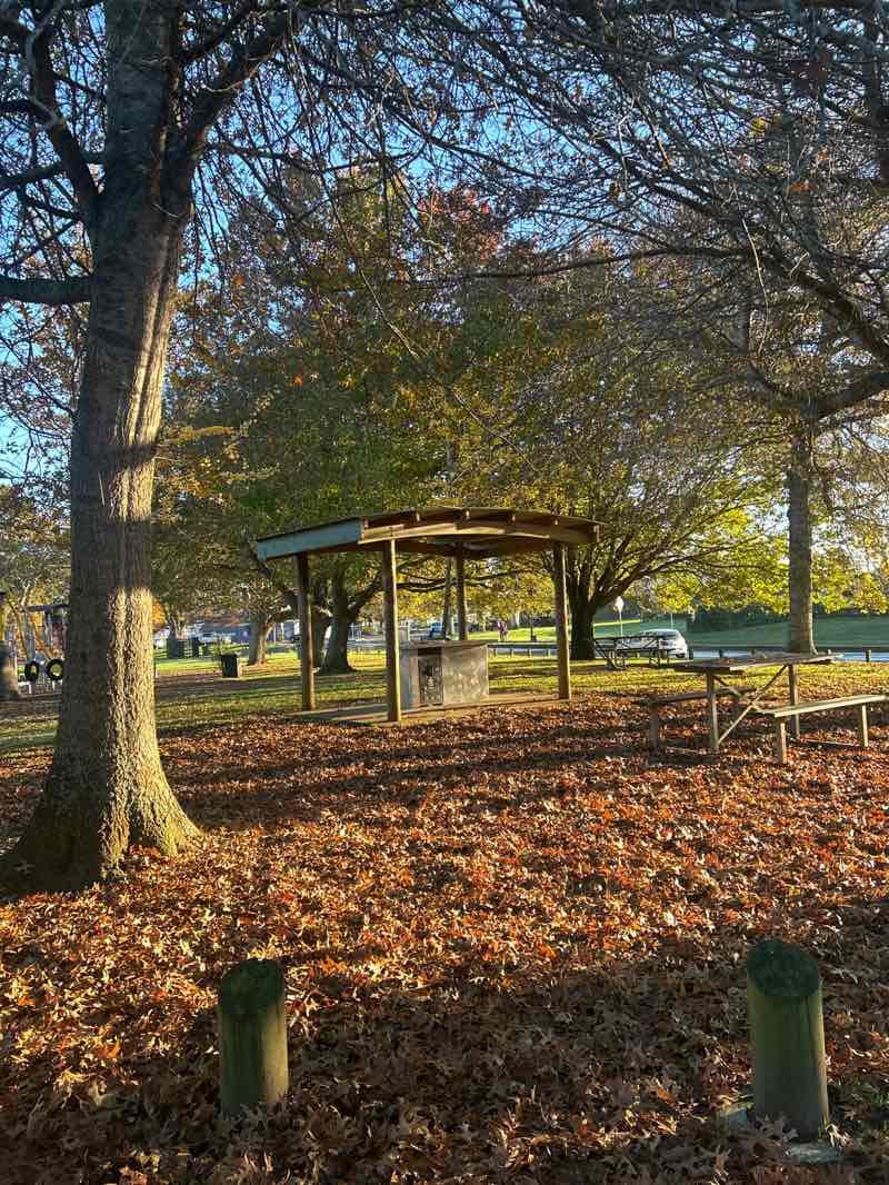 walking near me in Bledisloe Park in autumn
