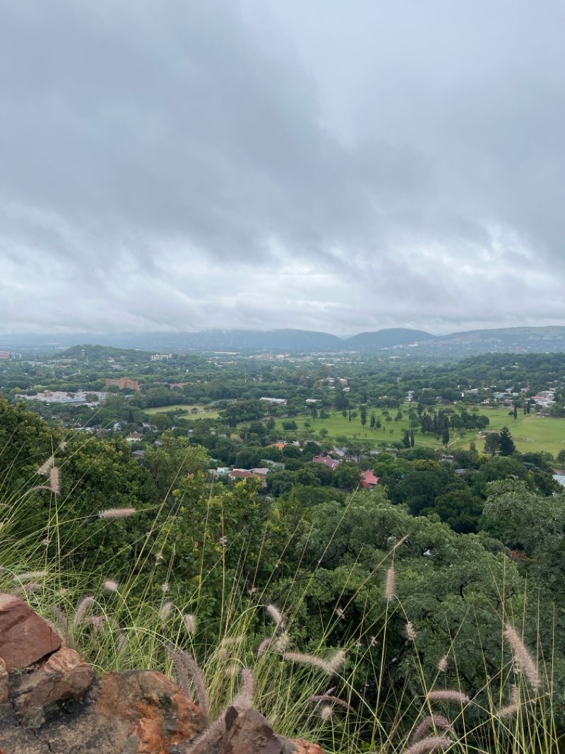 walking near me in pretoria art museum park in summer