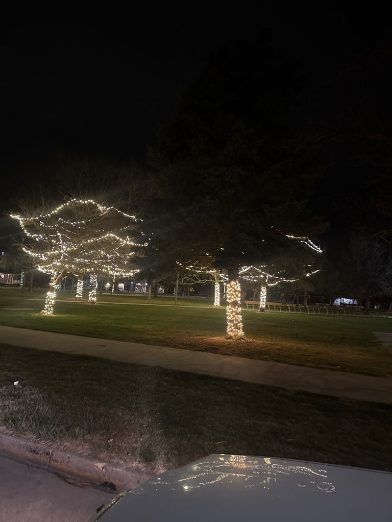 walking near me in Norris Park in spring