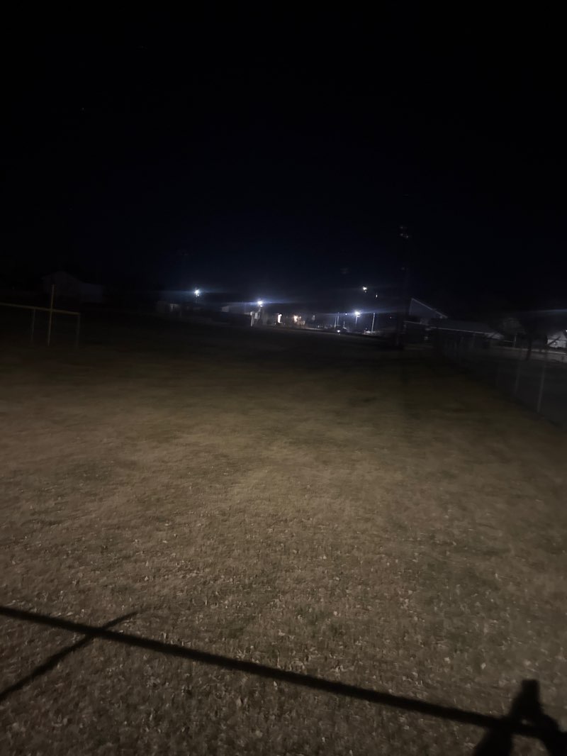 walking near me in Felling Park in spring