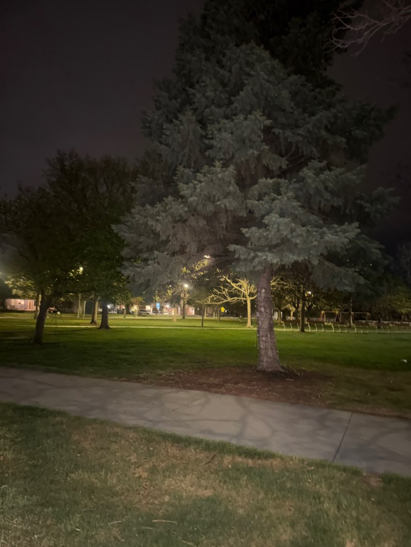 walking near me in Norris Park in spring