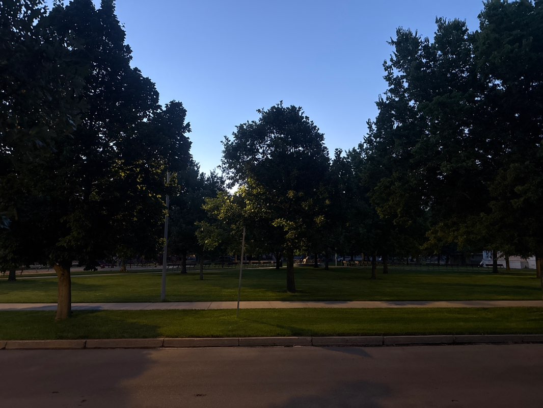 walking near me in Norris Park in summer