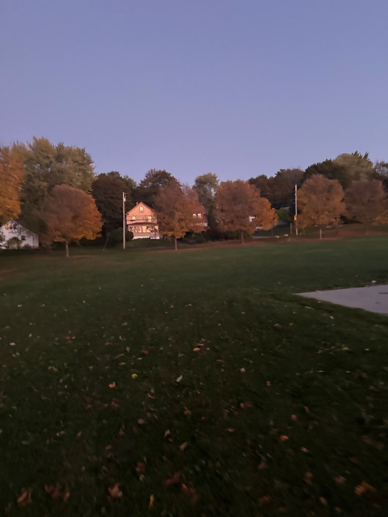 walking near me in Williams Park in autumn