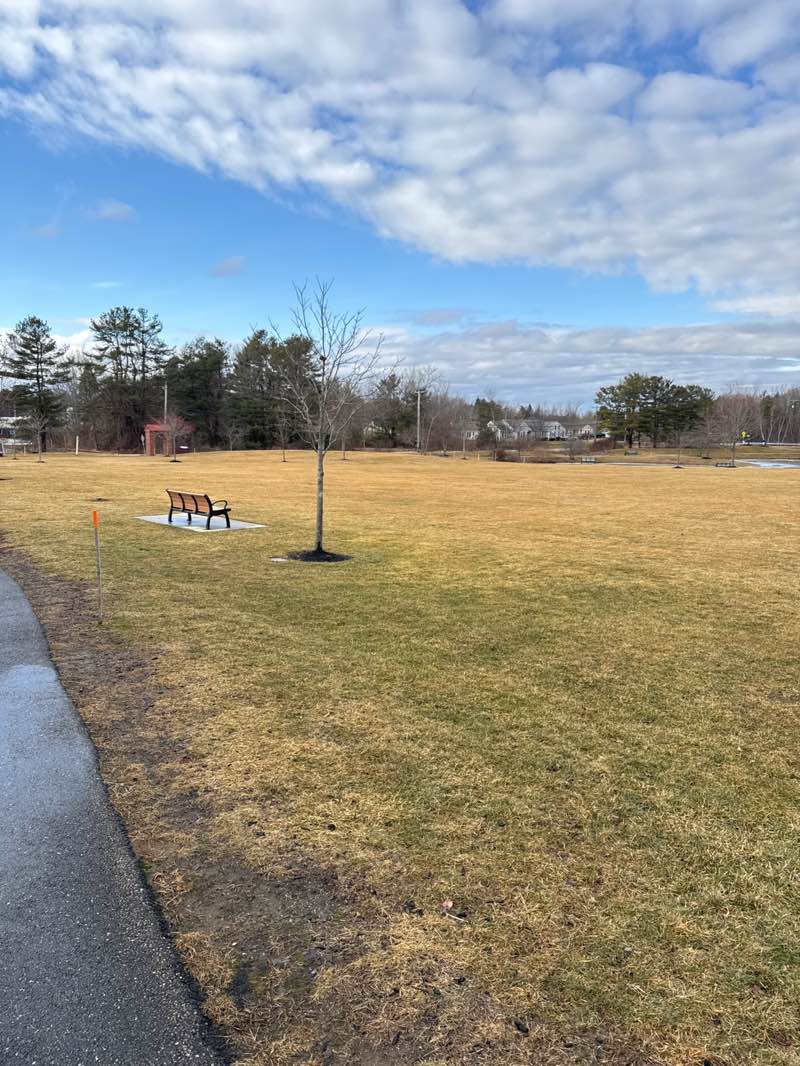 walking near me in Memorial Park in winter