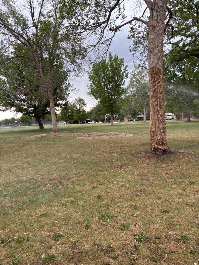 walking near me in Park Lane Park in summer