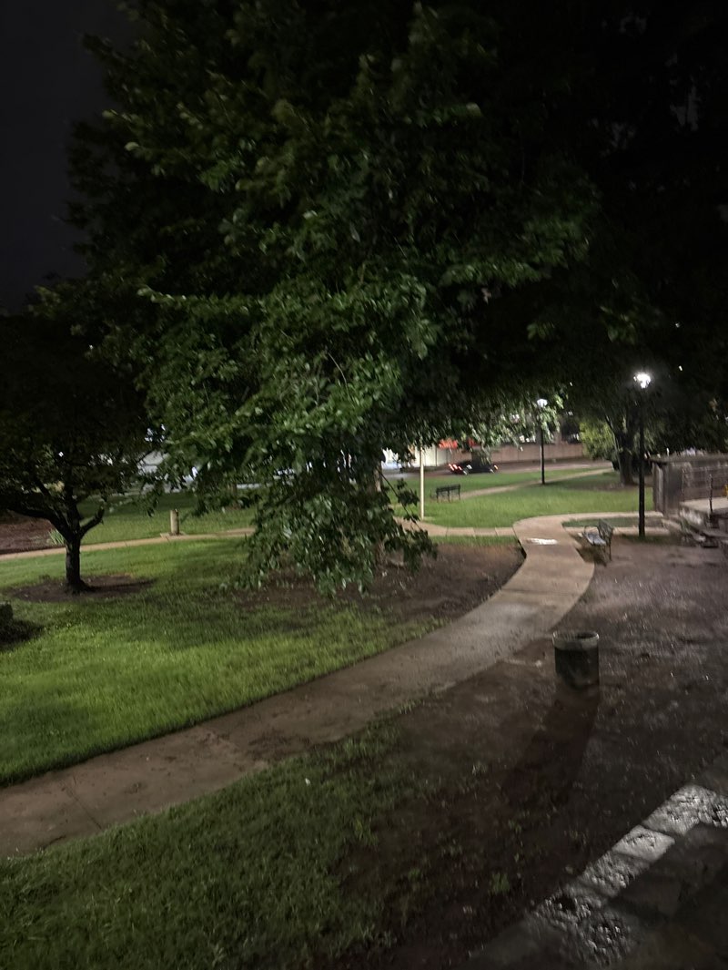 walking near me in Brother Bryan Park in summer