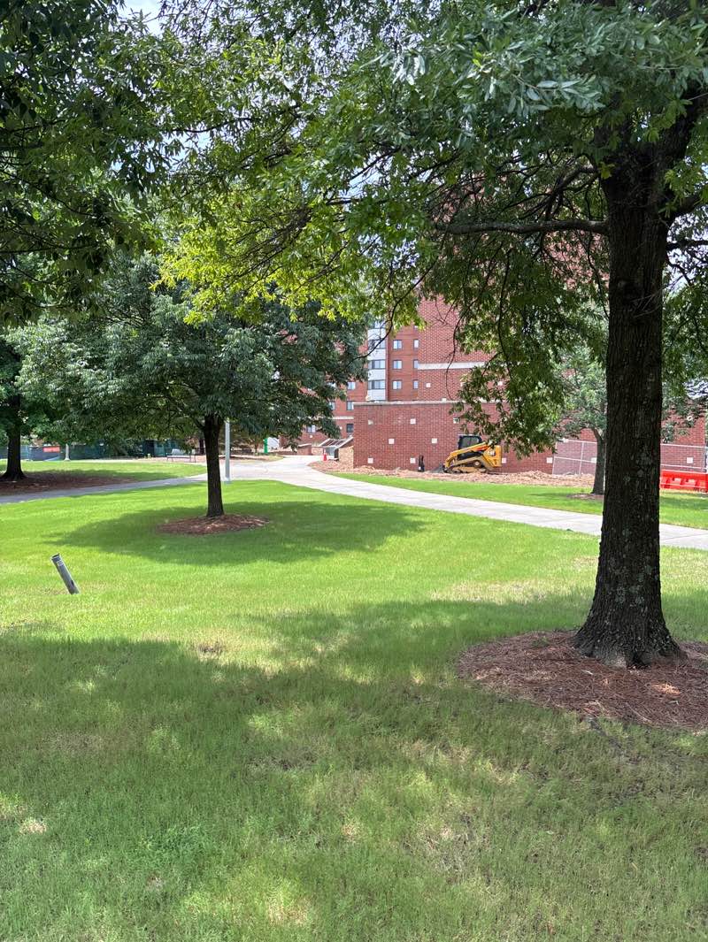 walking near me in UAB Campus Green in summer