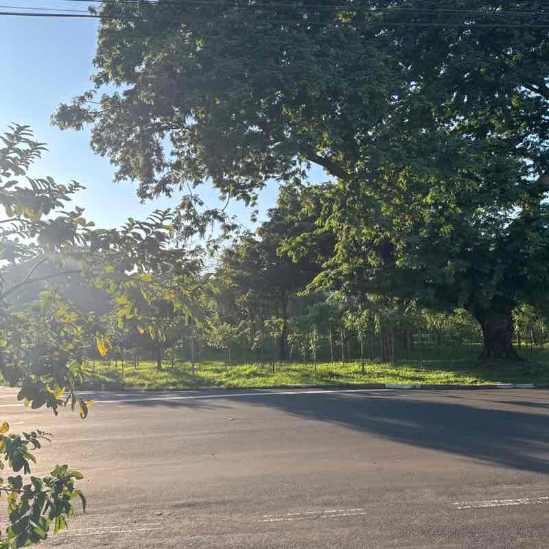 Elayne Milano post 1