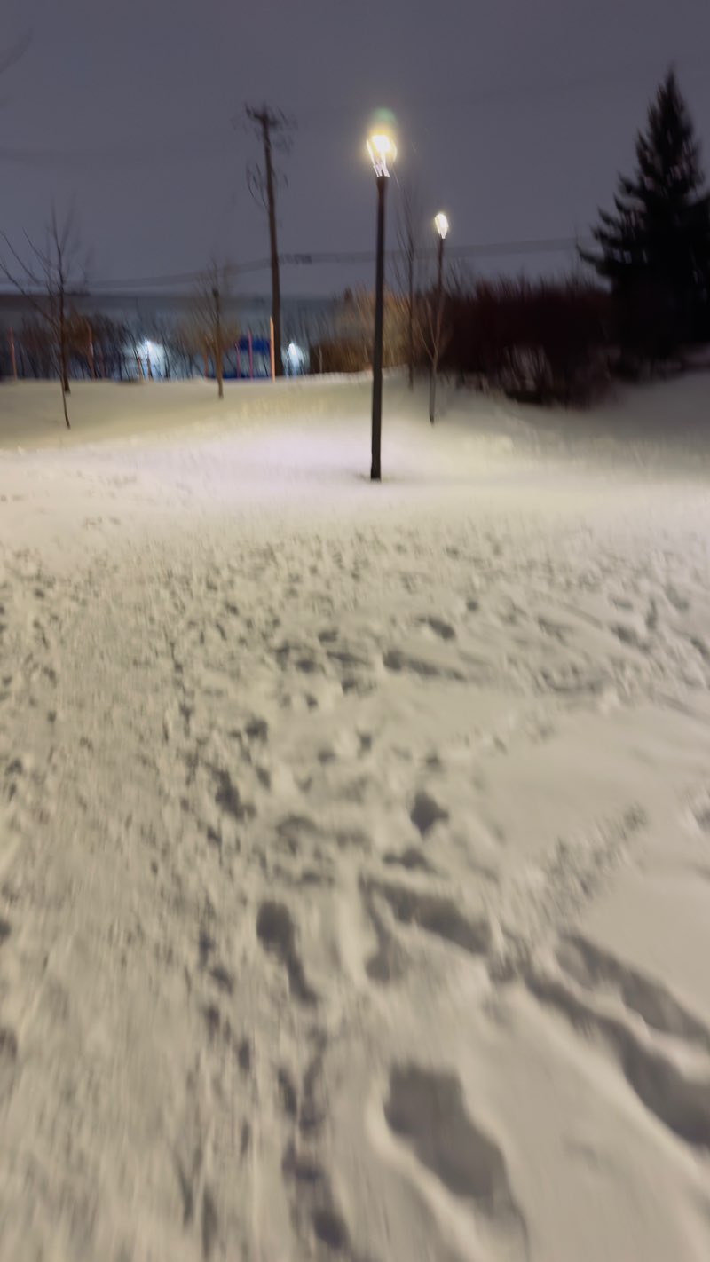 walking near me in Parc des Acrobates in winter