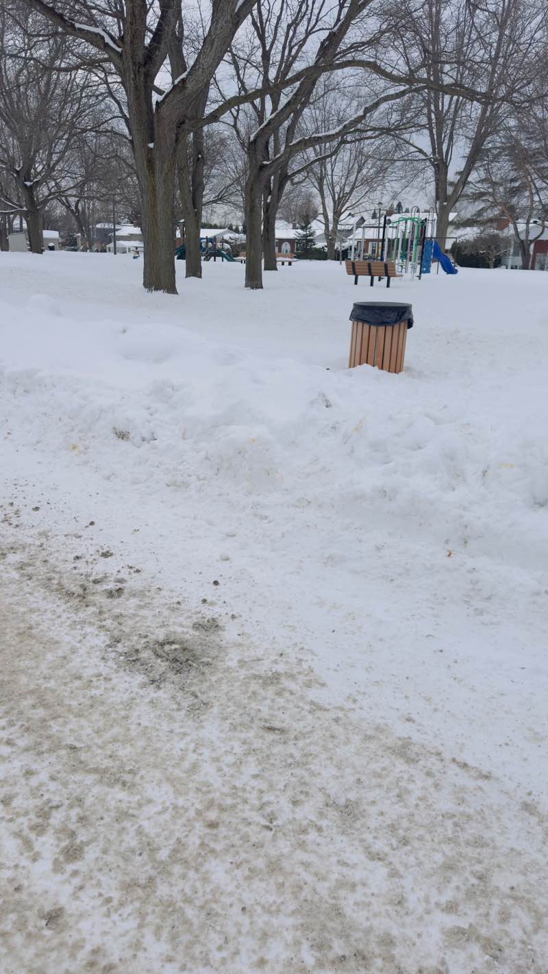 walking near me in Parc Jarry in winter