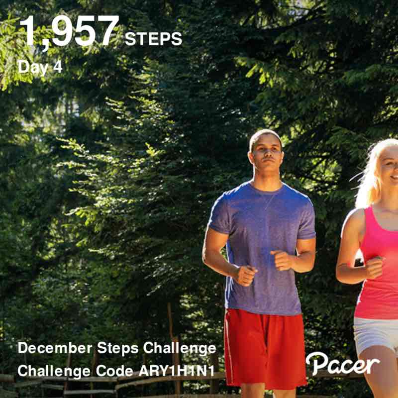 December Steps Challenge venord post image