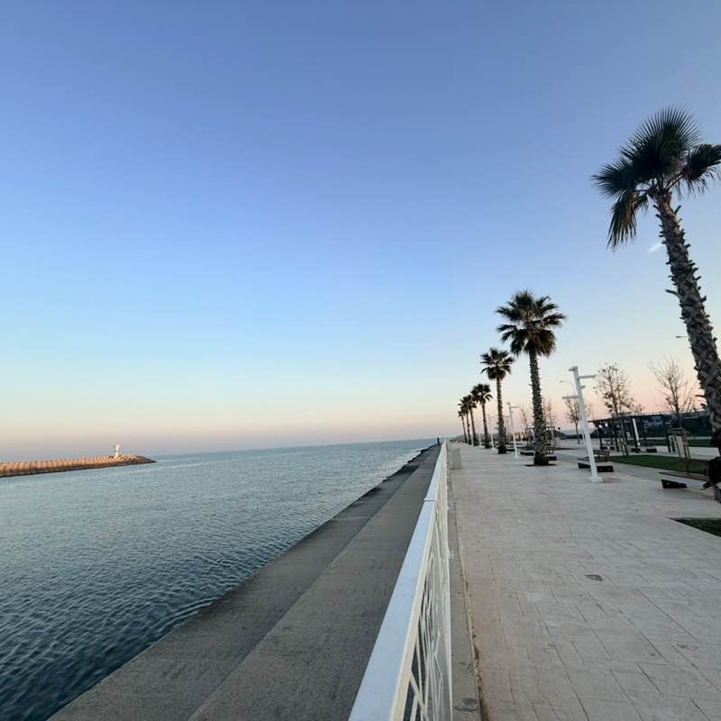 Arebos/Siontek Senem post image