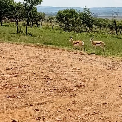 💕💖OMNIA TEAM 💖💕 Siyanda Mkhwanazi post image